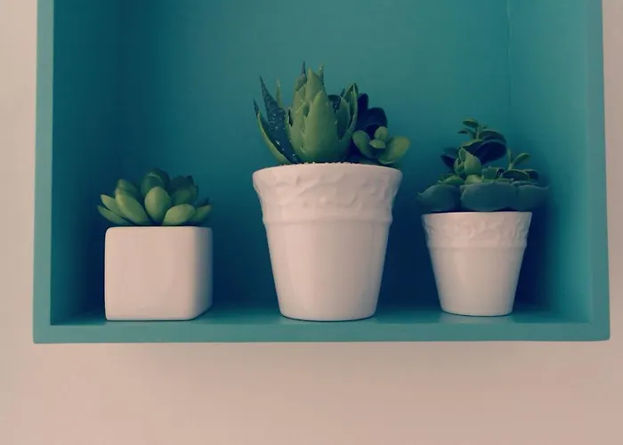 Alojamento de Acomodação e Pequeno-almoço La Peonia 3*